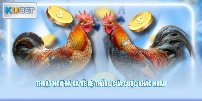 Thuật ngữ đá gà về hệ thống cửa cược khác nhau